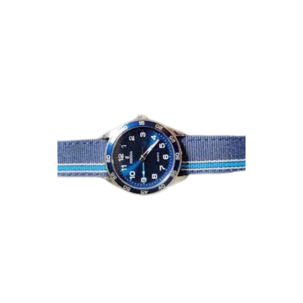 Festina Bambino Junior Collection Solo Tempo F16906/2