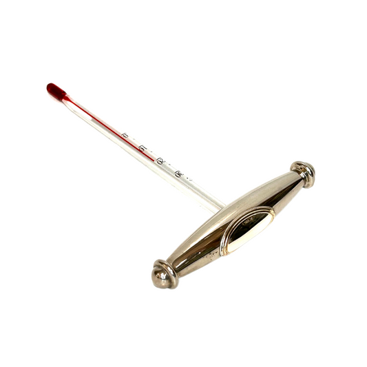 Termometro rivestito in argento 925