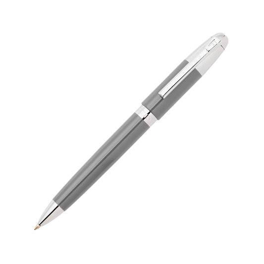 Penna Festina grigia FWS4110/H classicals